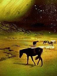 HorsesonMars